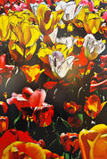 Tulips of Grandview Drive, Peoria by Craig Robert Miller