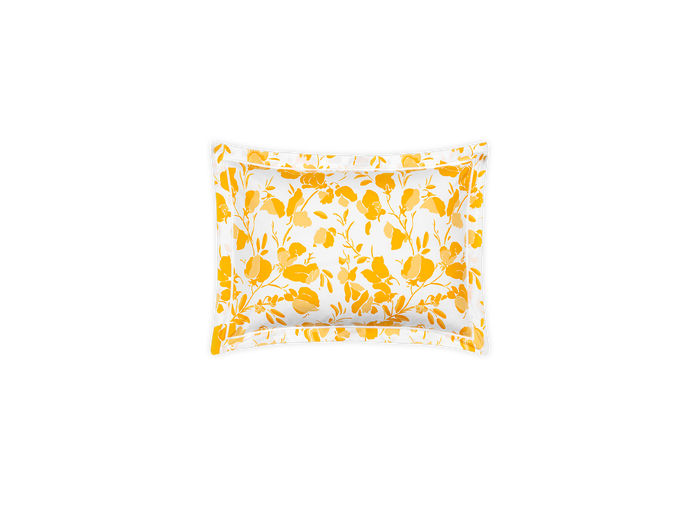 Alexandra Sham