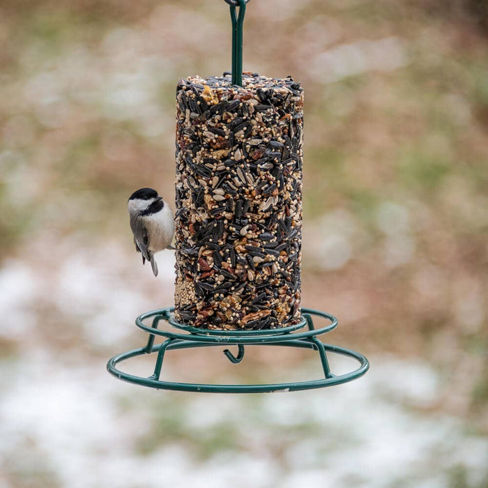 Mr Bird - EZFeeder