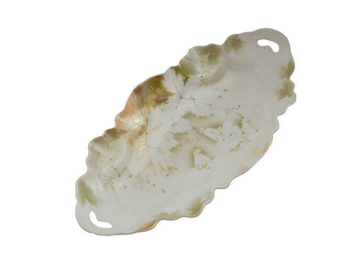 RS Prussia Porcelain Double Handle Tray Early Years Art Nouveau Period Surreal Leaves & Flowers