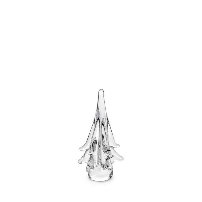 Spruce Evergreen in Gift Box - 6"