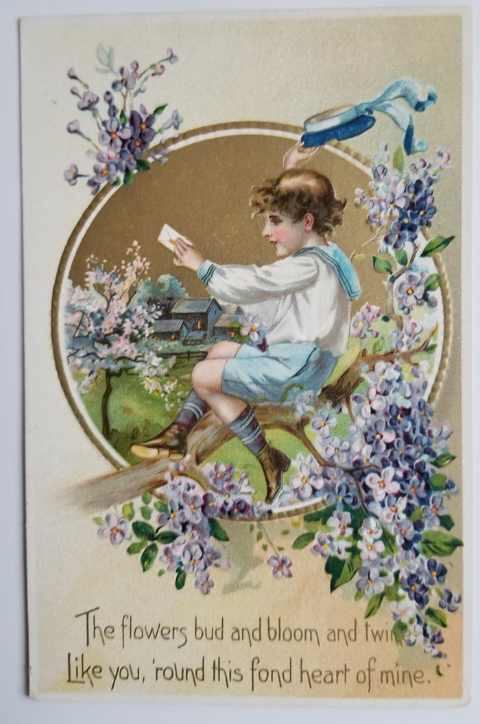 Valentine Postcard Floral Missives Series 11 Boy in Tree Tuck Pub